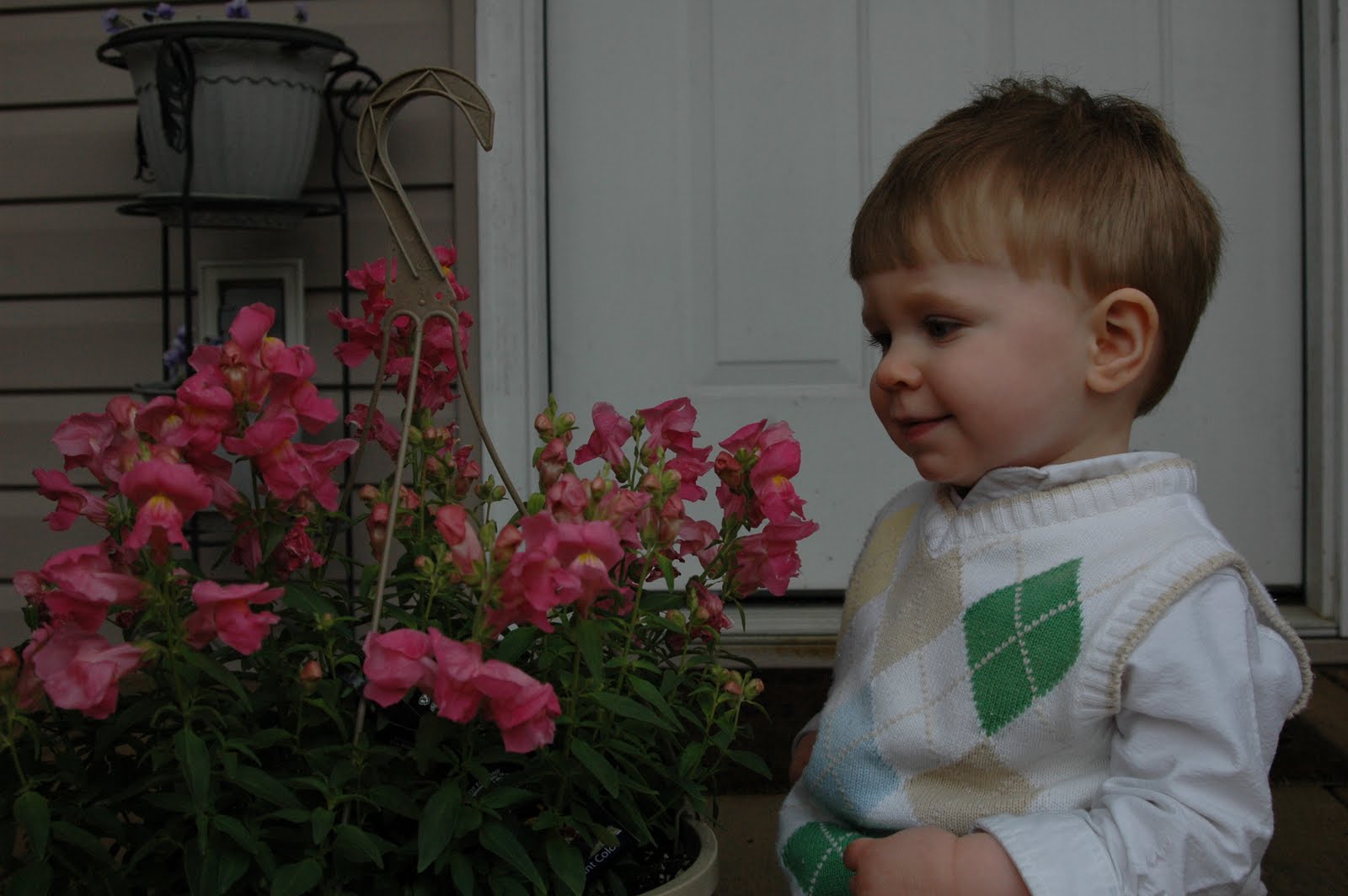 FREE 8x10 photo collage from WalGreens!