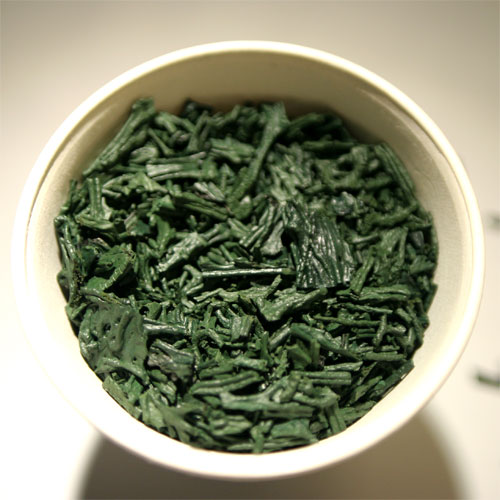 [Spiruline4.JPG]