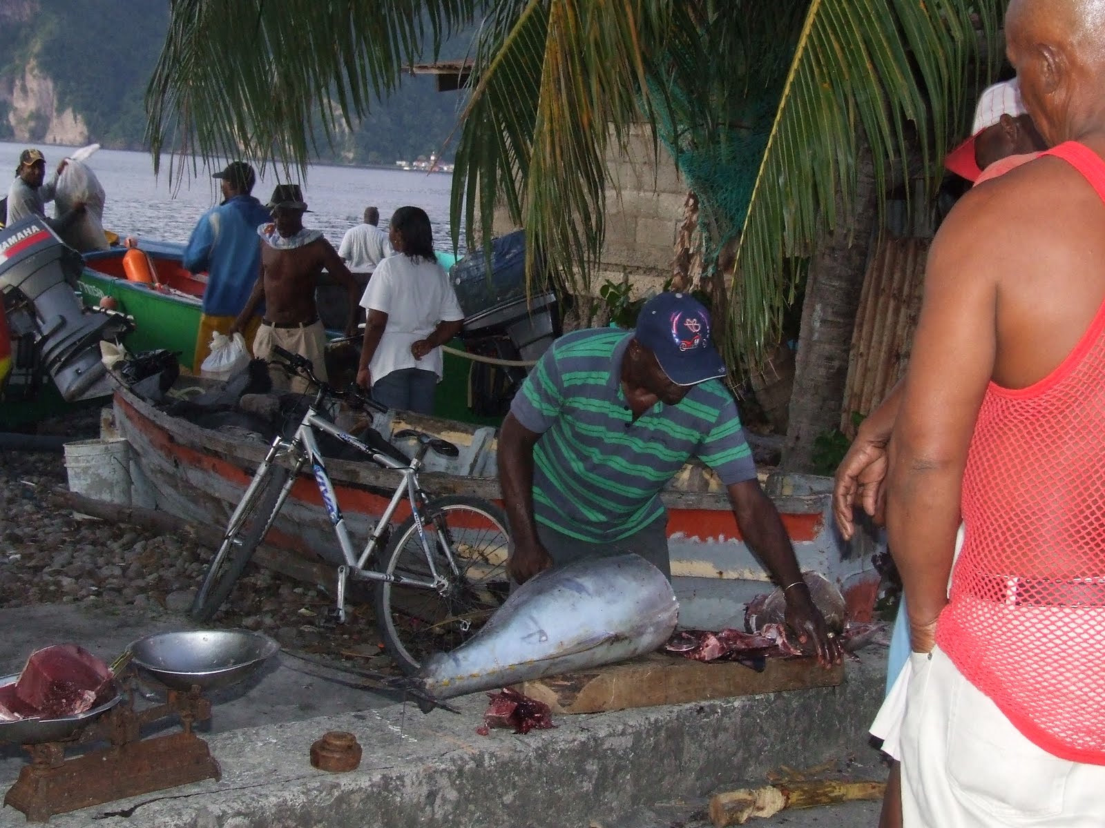 [Dominica+061.JPG]