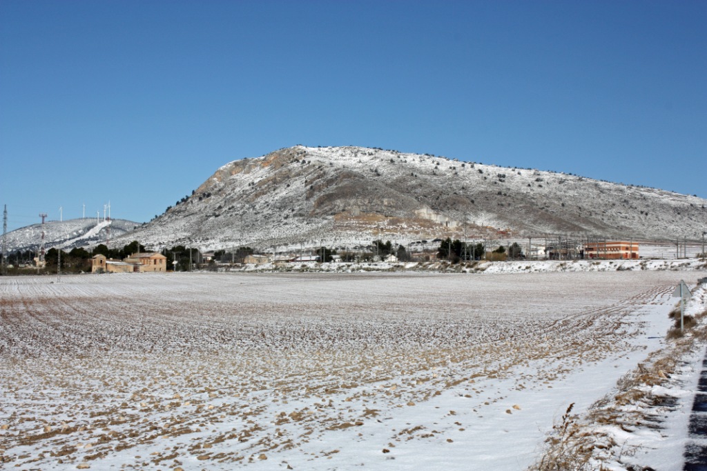 [IMG_0031.JPG]