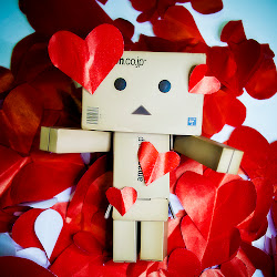 Foto Danbo Box @ digaleri.com