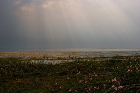 [IMG_3321_LochinvarStrahlensee.jpg]