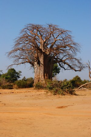 [IMG_3610_LowerZamBao.jpg]