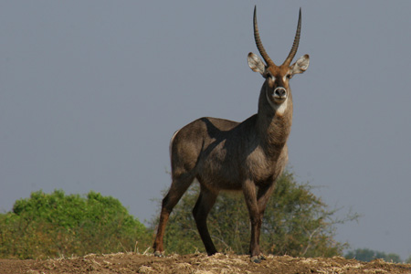 [IMG_3633_LowerZamWaterb.jpg]