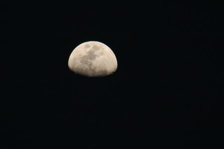 [IMG_3949_KasankaMond.jpg]