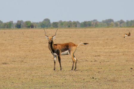 [IMG_4328_Bang.jpg]