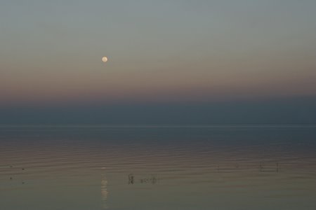 [IMG_4425_Samfya.jpg]