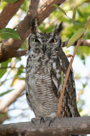 [IMG_4659_Isanga.jpg]