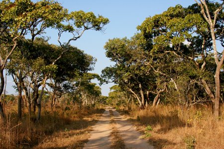 [IMG_5049_ToMutinondo.jpg]