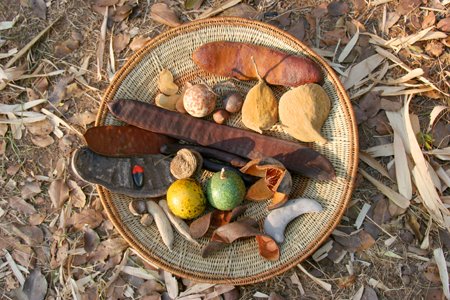 [IMG_6137_Lusaka.jpg]