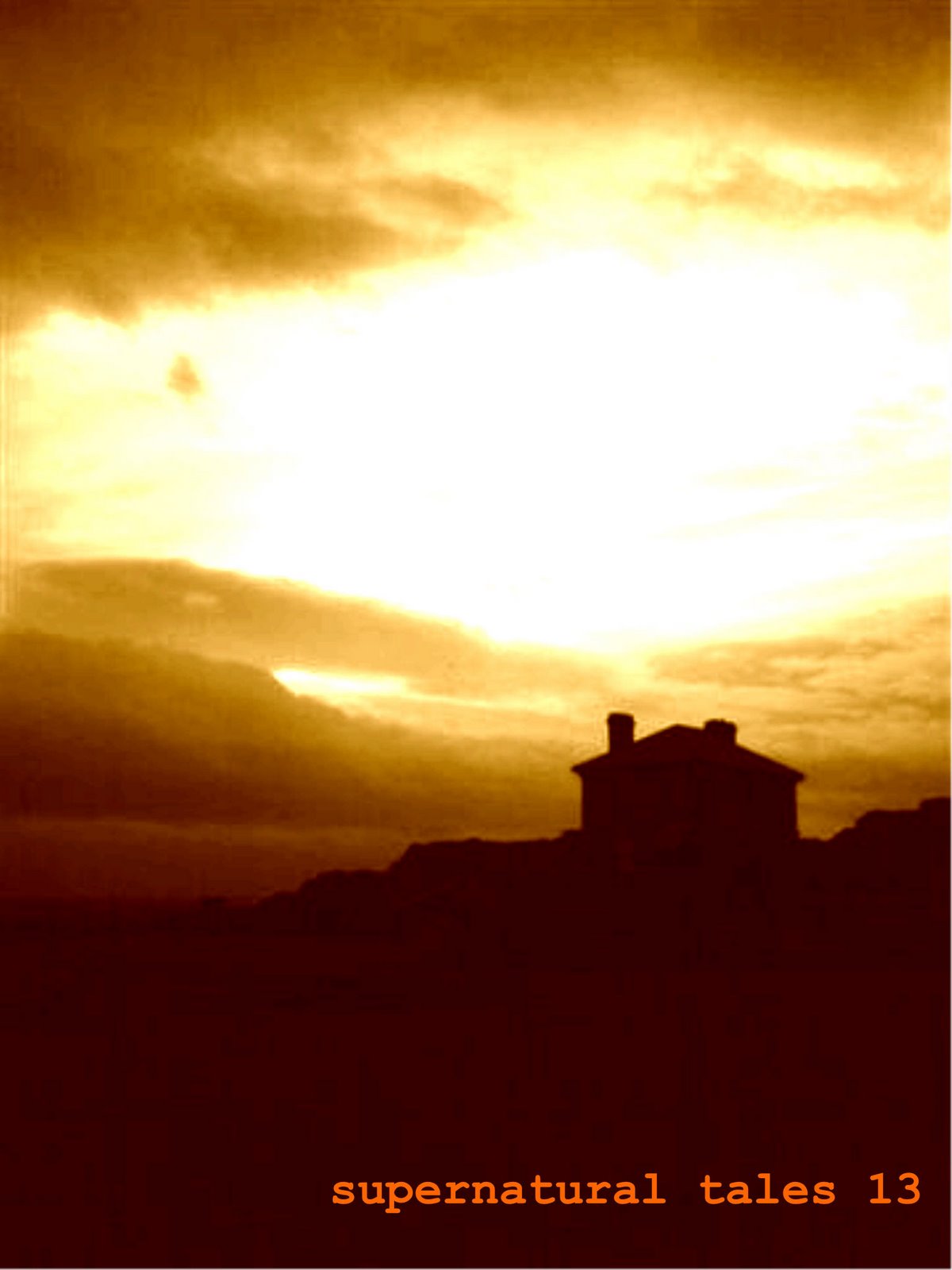 [Copy+of+st13orange.jpg]