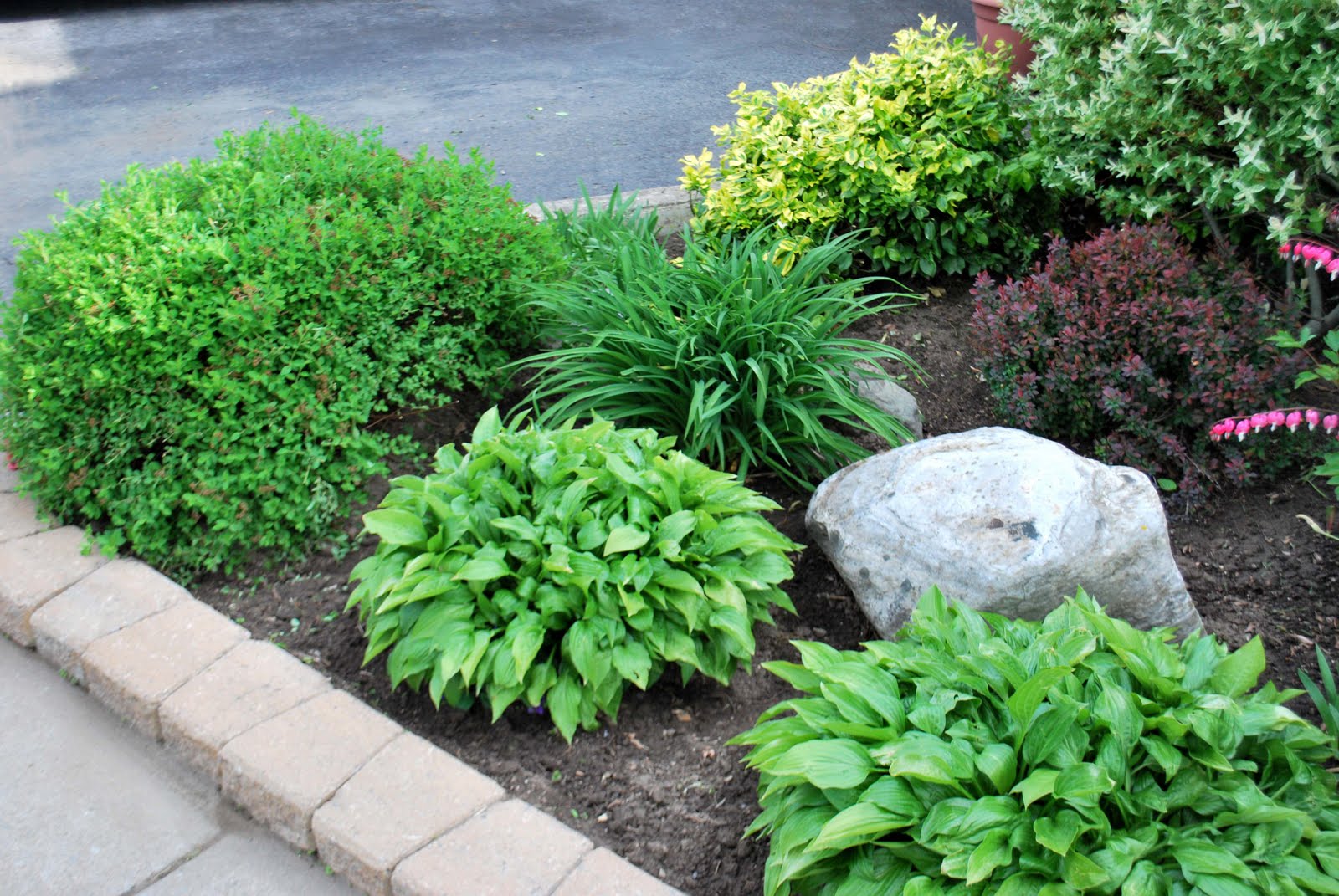 A Crafty Mom's Blog: The Front Garden