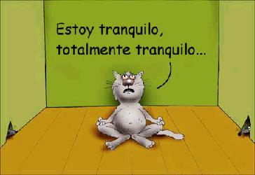 [tranquilo 1.jpg]