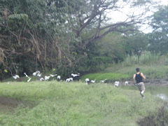 Y el quiere como volar como las aves