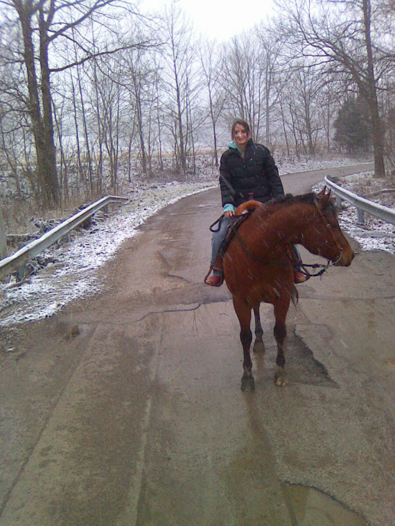 Snow Ride