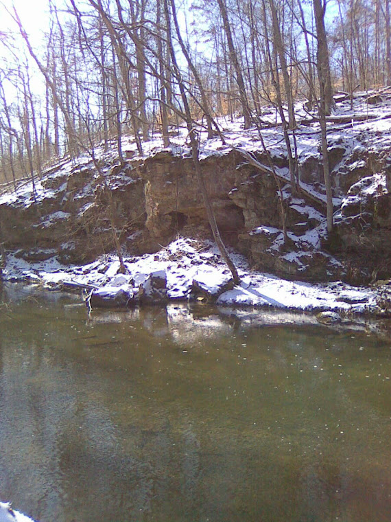 Trail Scenery