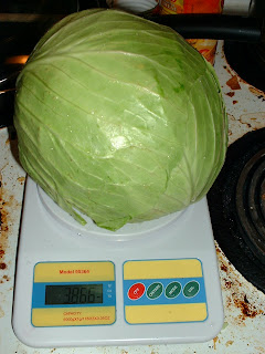 Cabbage on scale