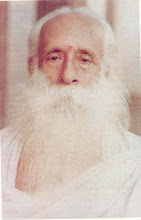 Sri Radhakrishna Swamiji