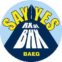Wear the "SAY Yes" badge and support BHX!!