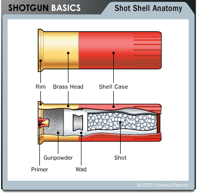 shotgun-shell.gif