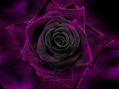 Flor purpura poema de desamor