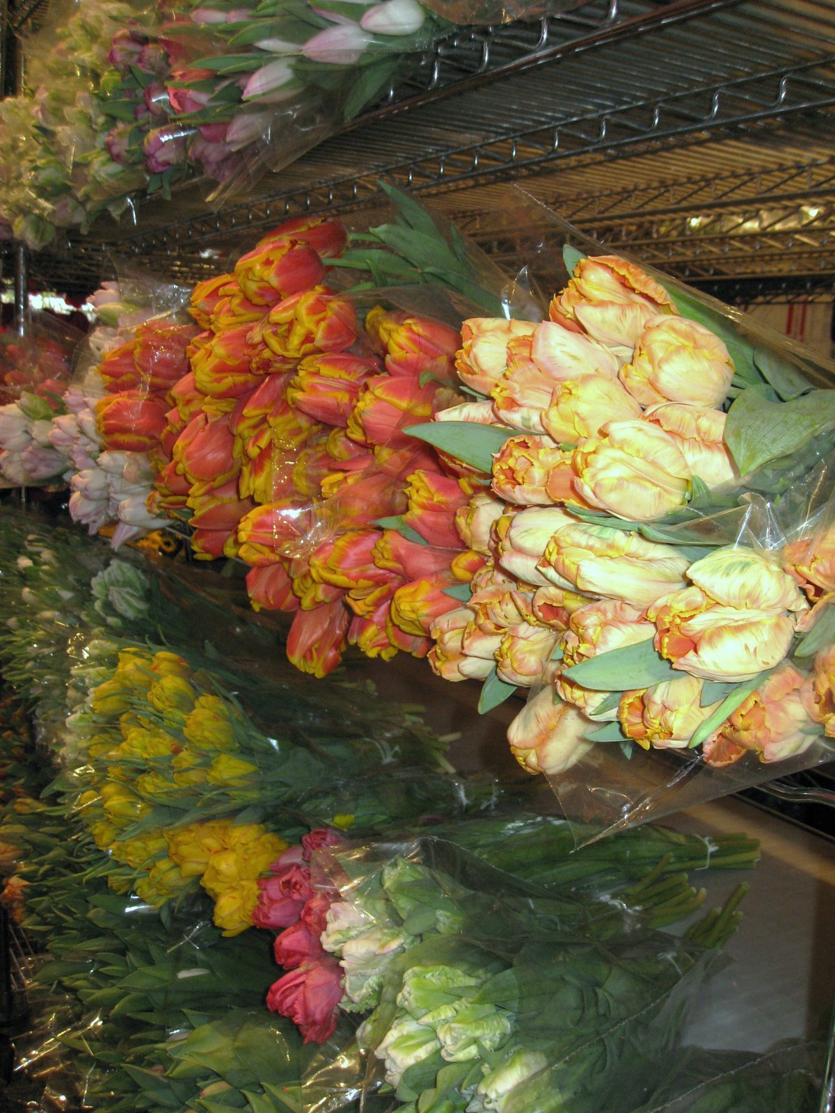 [IMG_0994.JPG]