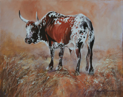 Iona's Nguni Cow (Bull)