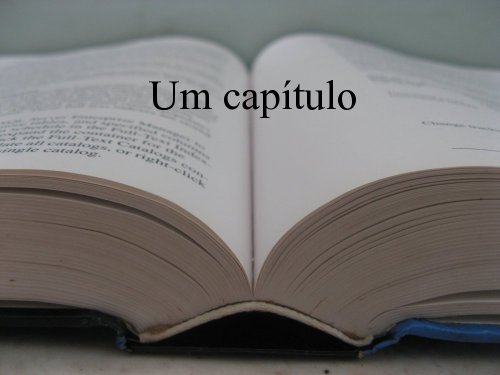 Primeiro capítulo e trechos de livros