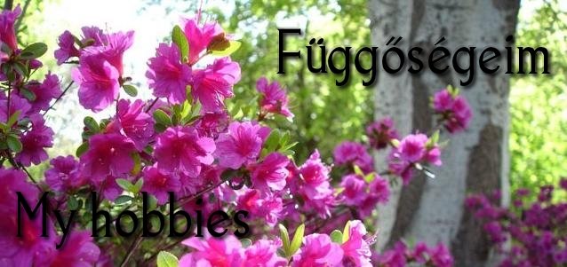 Függőségeim