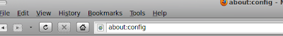 about:config about:config.png