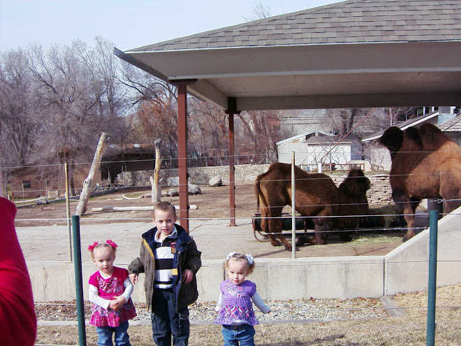 anna & Eva &  Juel at rthe hoogle Utah zoo