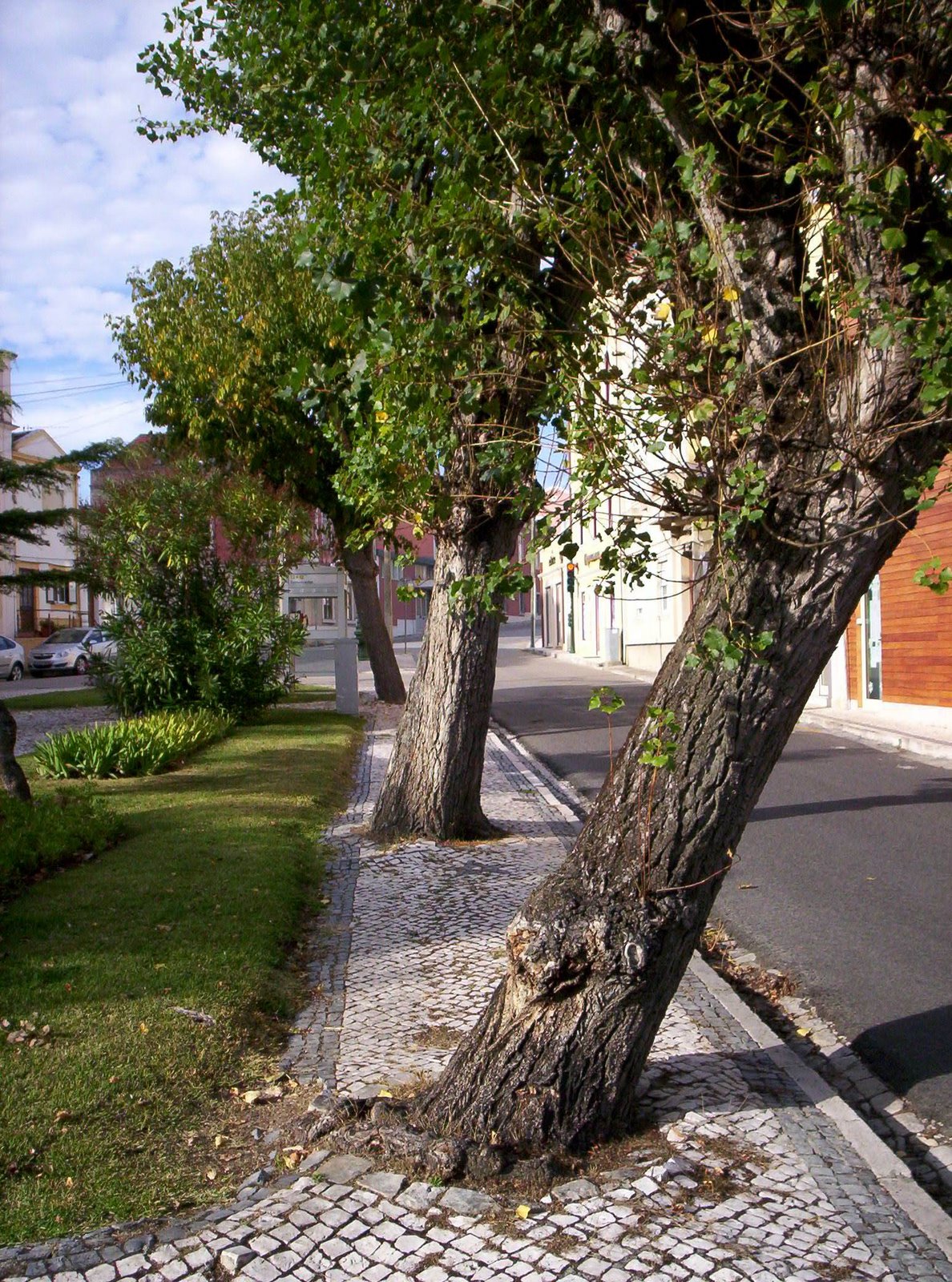 [10)R.Bomb.Vol..JPG]