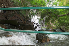 Colección Cerro San Bernardo de Paola Cuevas