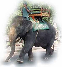 Thai elephan..