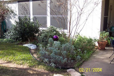 DivasoftheDirt, back bed B4
