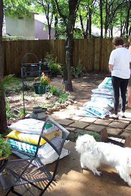 Divasofthedirt,karla surveys