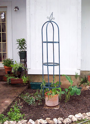 Divasofthedirt, candy places tower