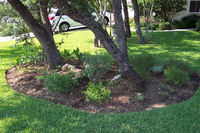 Divasofthedirt, tidy front bed