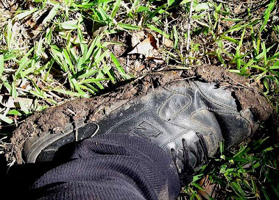 divasofthedirt muddy shoes