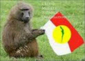 Beruk Khairy Jamaluddin