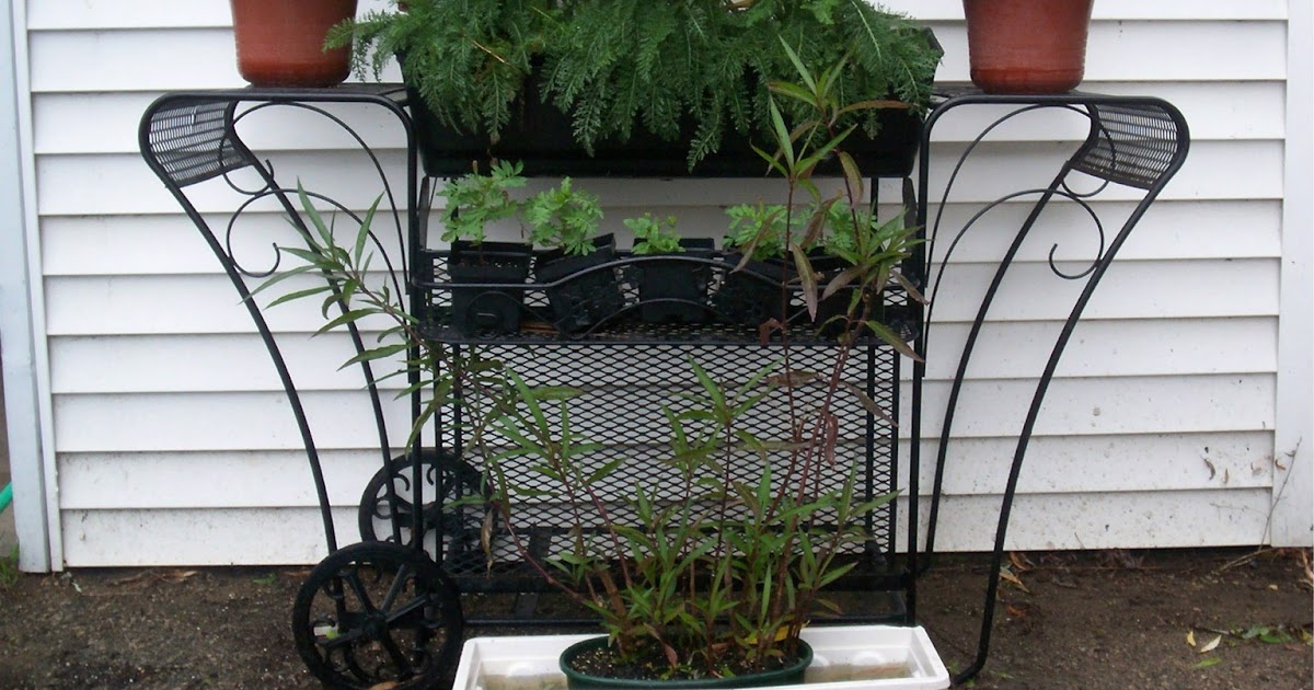 TRU TALES FEATS GRILL FLOWER CART