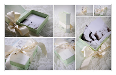 Sample Wedding Photo Books on Classic White Photography 4x6 Proof Box