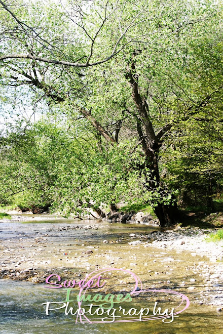 Bowmanville Valleys