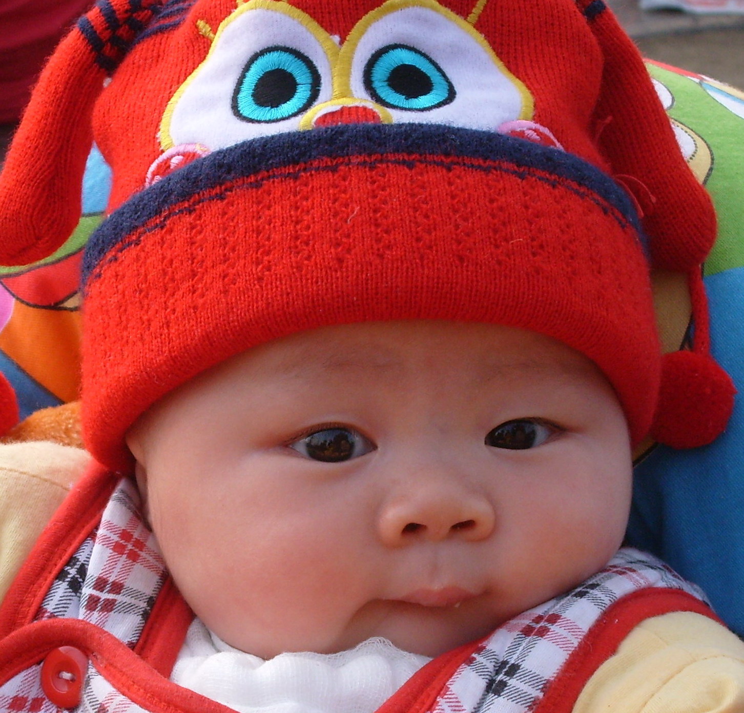 [S7302749.JPG]