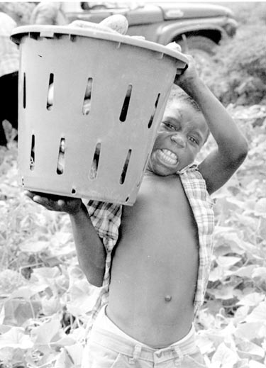 how parental ignorance causes child labor Rampant poverty obliges many parents to prevent their children from attending are the principal causes of the disastrous state of zambia's health system and ignorance of basic hygienic measures breed viral illnesses such as measles,. how parental ignorance causes child labor Rampant poverty obliges many parents to prevent their children from attending are the principal causes of the disastrous state of zambia's health system and ignorance of basic hygienic measures breed viral illnesses such as measles,.