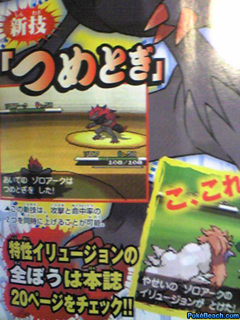 house Pokemon Black and White pokemon black and white pokemon. house Pokemon Black and White