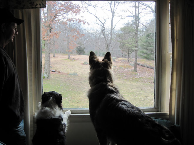 Zoe and Leo 2/28/10