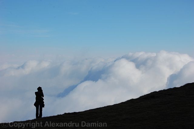 [DSC_0055.JPG]