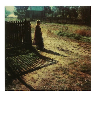 tarkovsky polaroid