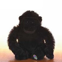 gorilla retired webkinz